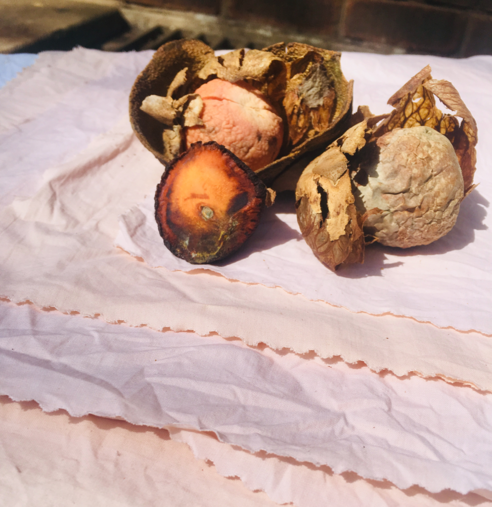 Avocado pips and skins placed on top of layered fabric dyed with this plant material